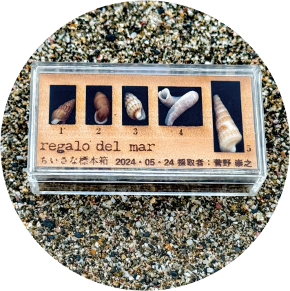 夏休みイベントのお知らせ|土佐清水ジオパーク公式サイト